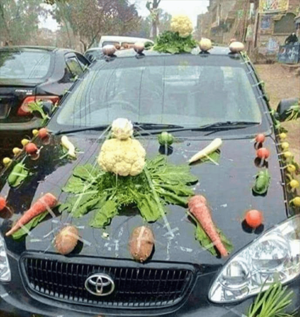 Terrible Car Decorations (14 pics)