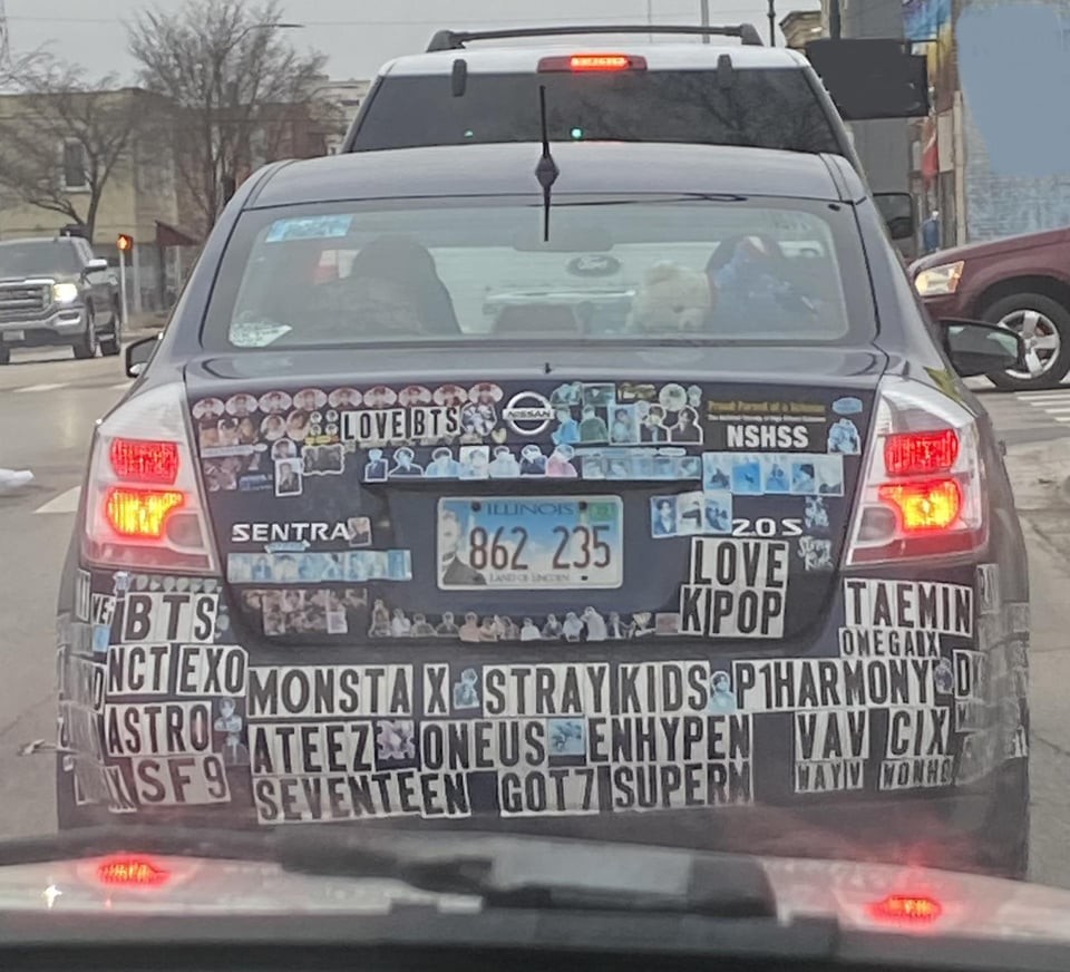 Terrible Car Decorations (14 pics)
