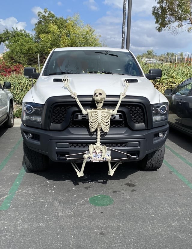 Terrible Car Decorations (14 pics)