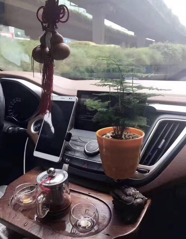 Terrible Car Decorations (14 pics)