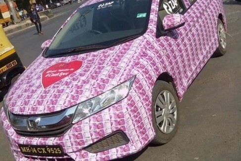 Terrible Car Decorations (14 pics)