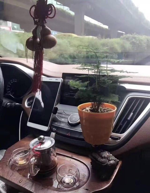 Terrible Car Decorations (14 pics)