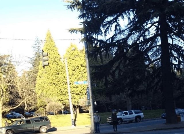 Unexpected Coincidences (18 pics)