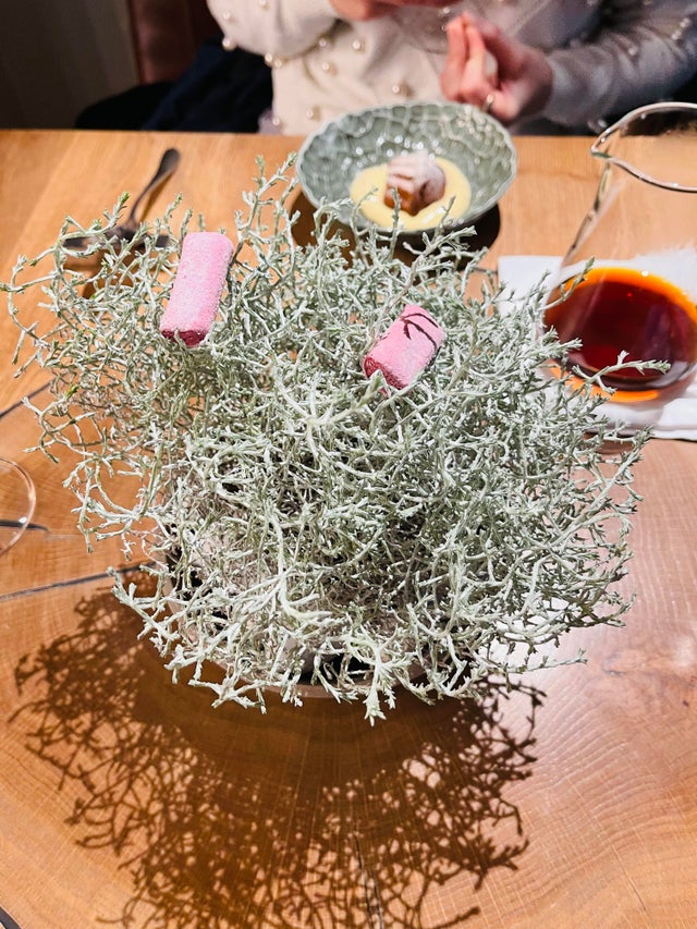 Weird Food Serving (36 pics)