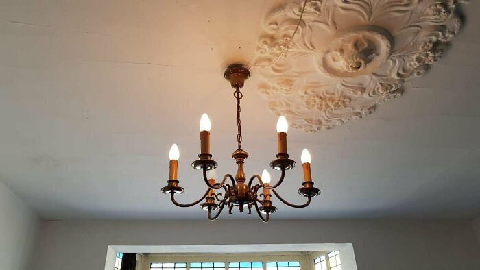 Odd Interiors (25 pics)