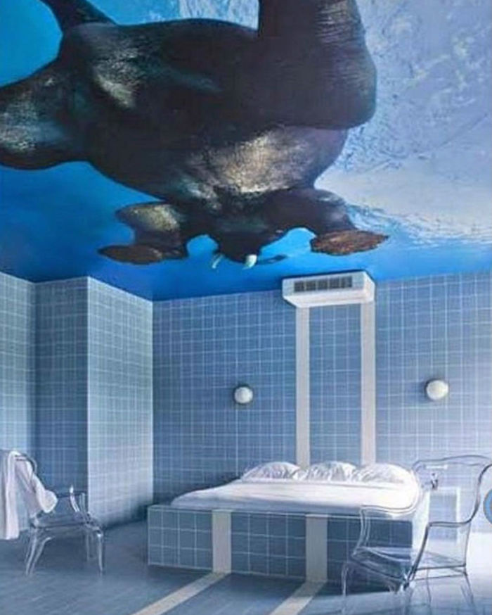 Odd Interiors (25 pics)