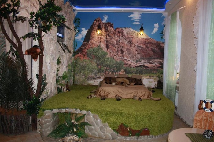 Odd Interiors (25 pics)