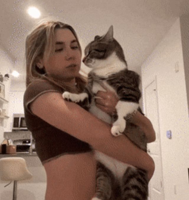 Acid GIFs, February 17 (25 gifs)