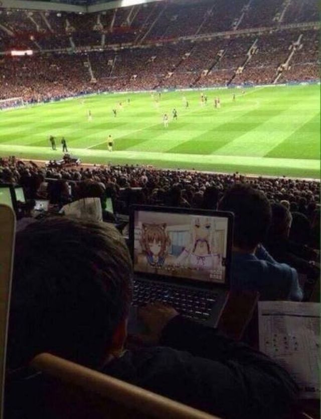 What Is Going On Here? (28 pics)