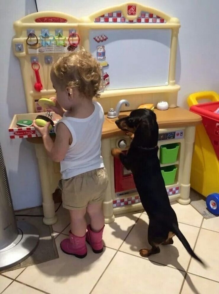 Best Friends (21 pics)