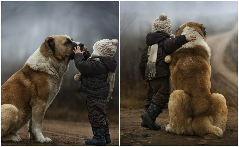 Best Friends (21 pics)