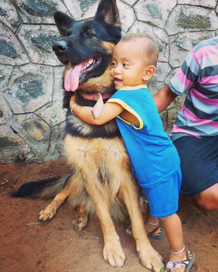Best Friends (21 pics)