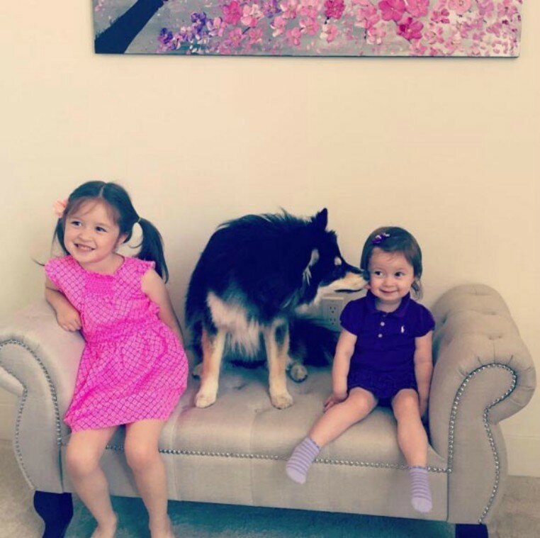 Best Friends (21 pics)