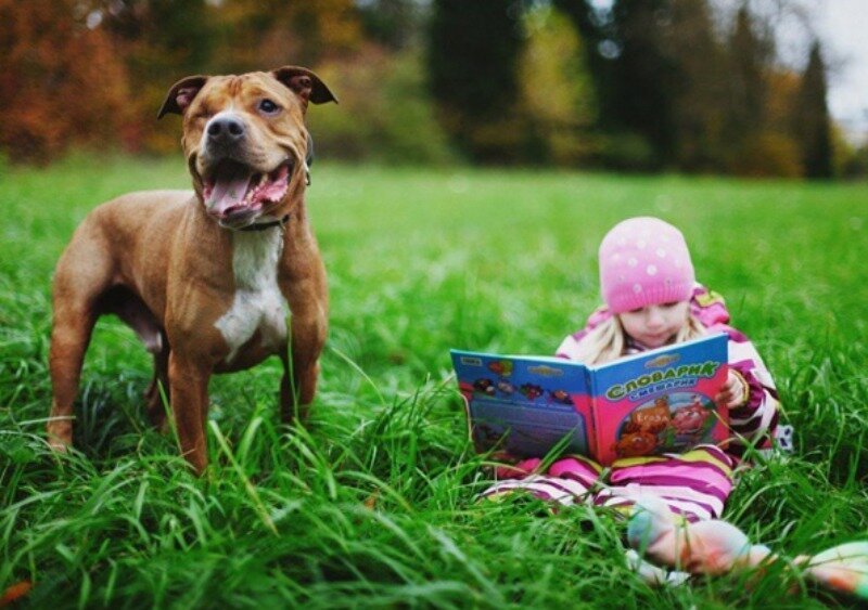 Best Friends (21 pics)