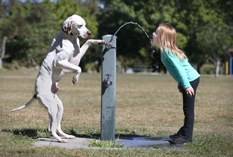 Best Friends (21 pics)