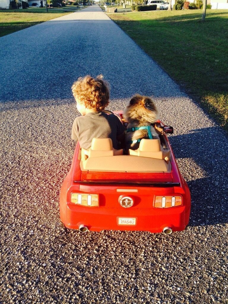 Best Friends (21 pics)