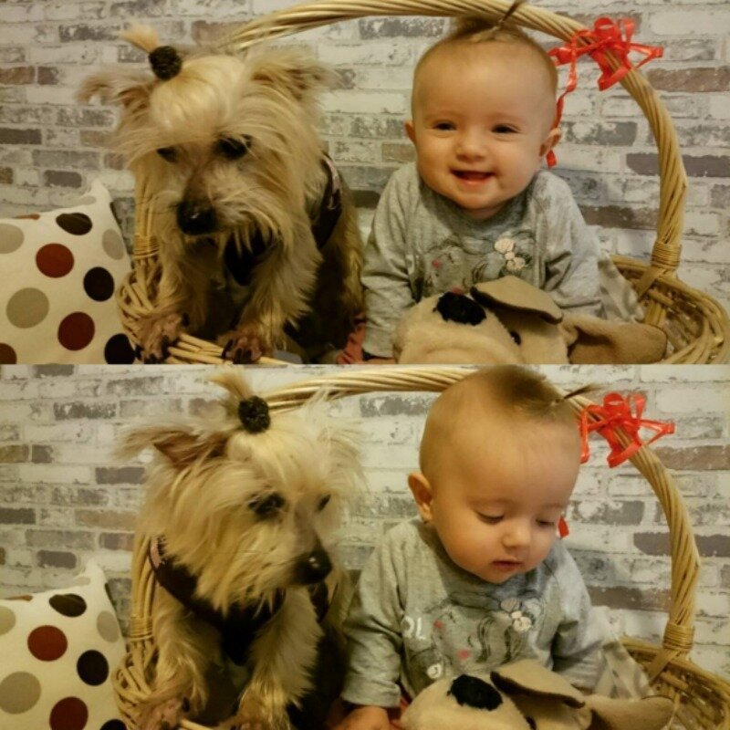 Best Friends (21 pics)
