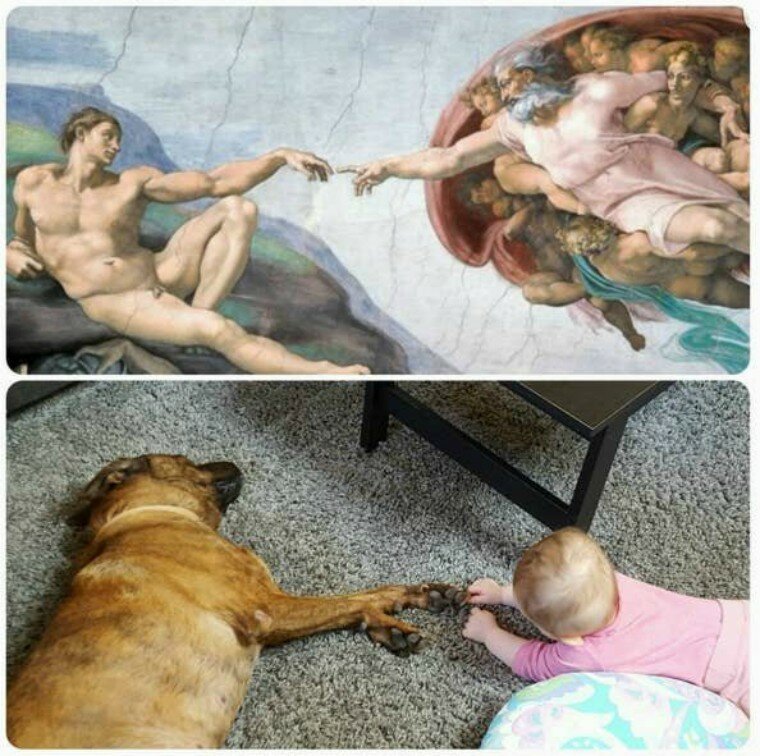 Best Friends (21 pics)