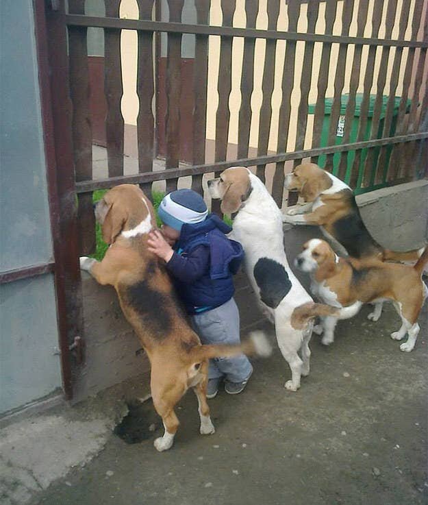 Best Friends (21 pics)