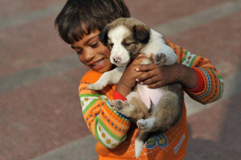 Best Friends (21 pics)