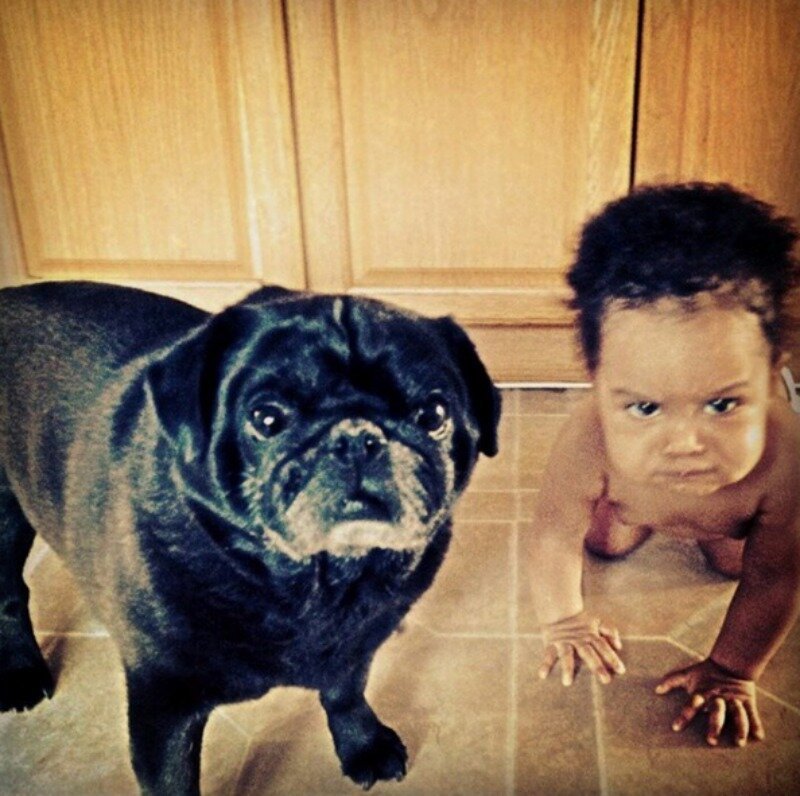 Best Friends (21 pics)