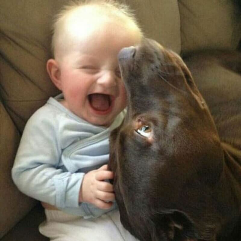 Best Friends (21 pics)