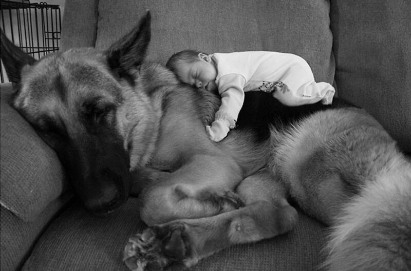 Best Friends (21 pics)