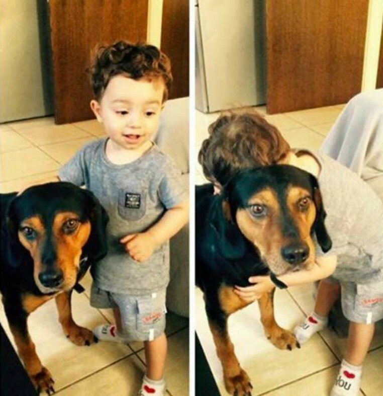 Best Friends (21 pics)