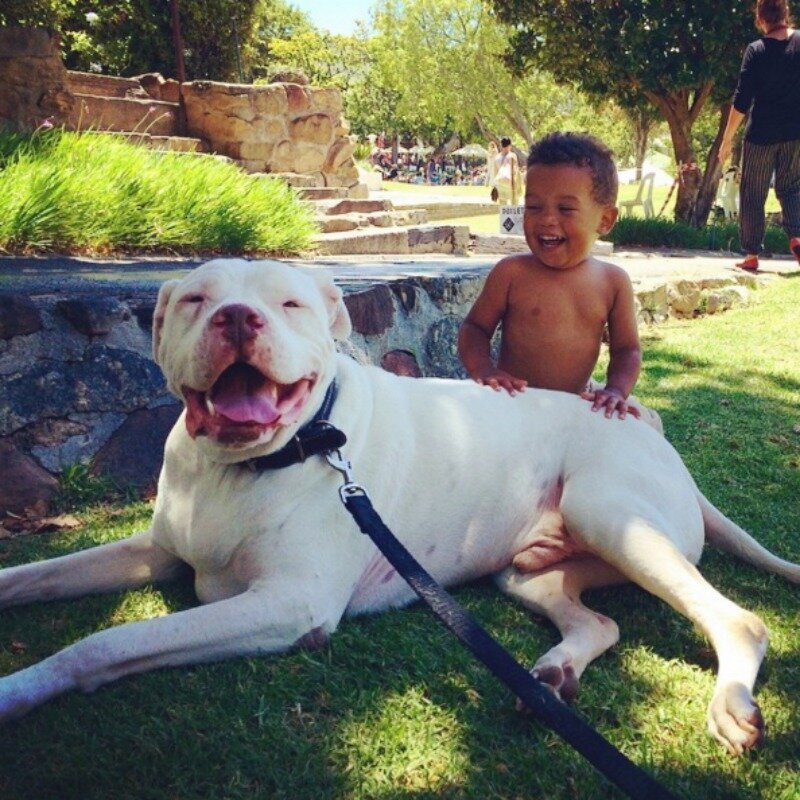Best Friends (21 pics)
