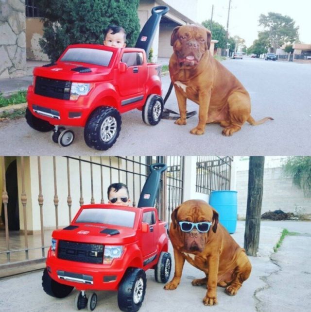 Best Friends (21 pics)