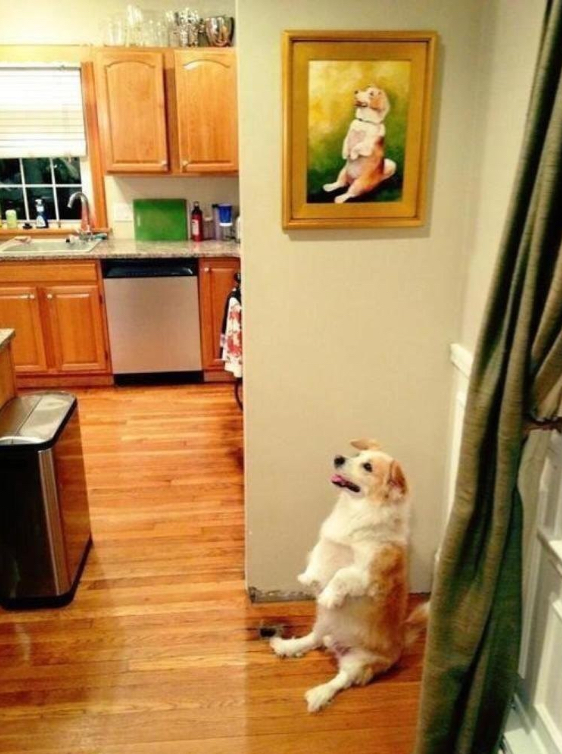 Funny Coincidences (22 pics)