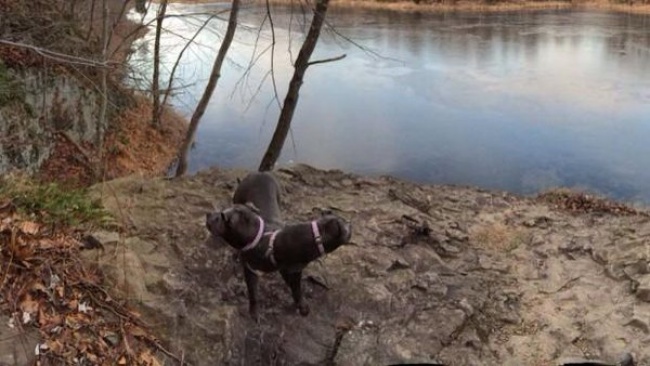 Odd Panoramic Photos (18 pics)