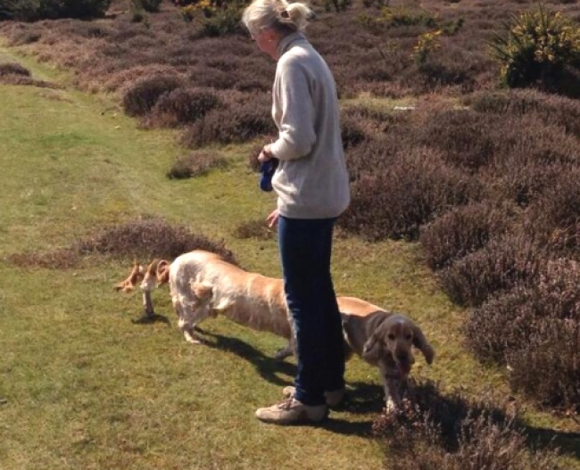 Odd Panoramic Photos (18 pics)
