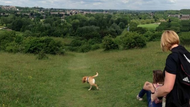 Odd Panoramic Photos (18 pics)