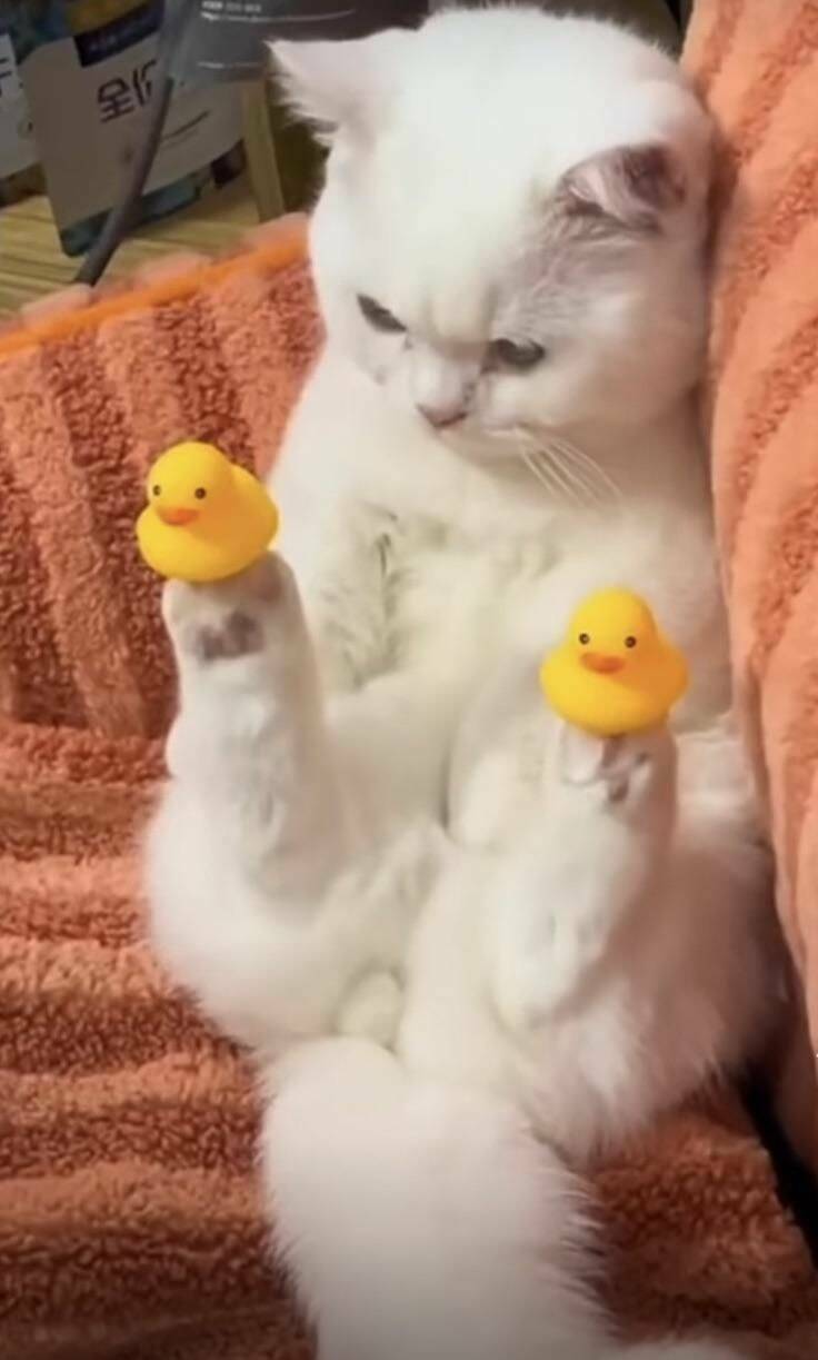 Daily Pictures. Part 1 (67 pics)