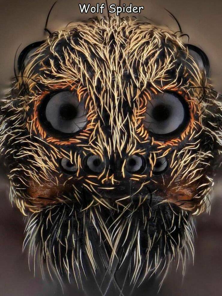 Daily Pictures. Part 2 (66 pics)