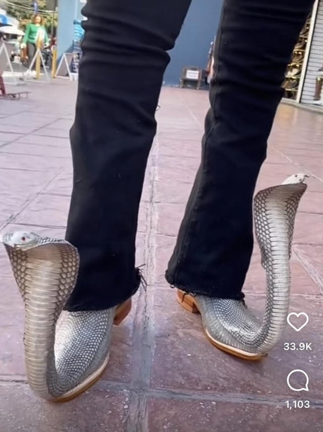 Awful Shoes (17 pics)