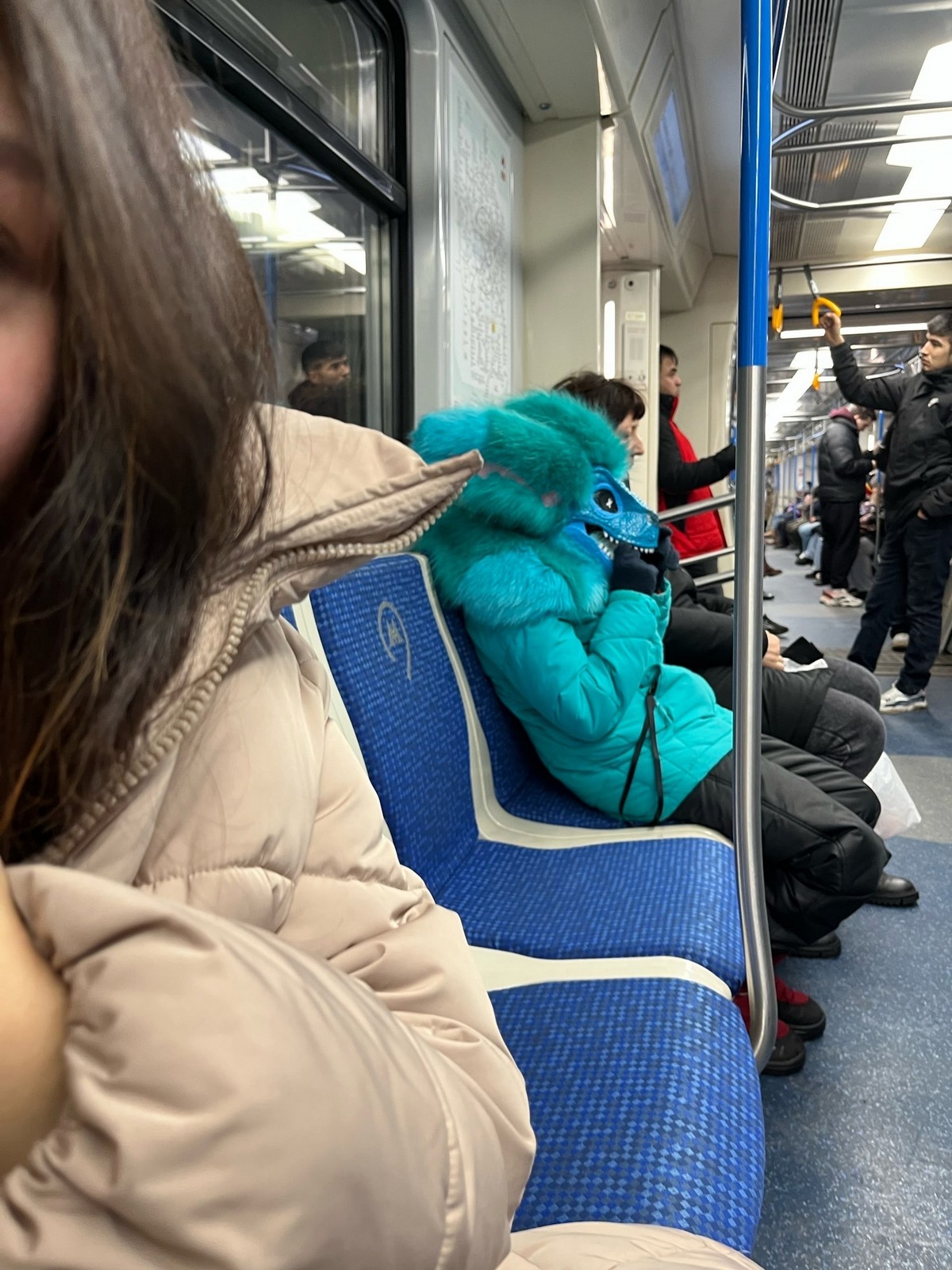 Strange People In The Subway (18 pics)