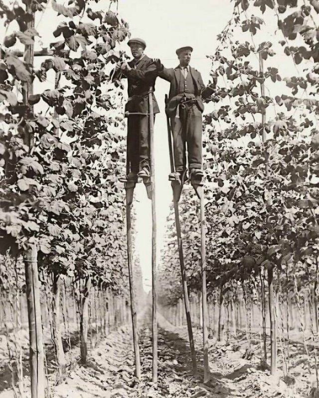 Interesting Historical Photos (38 pics)