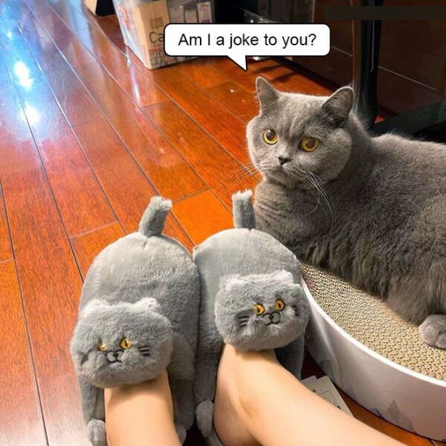 Funny Memes (19 pics)