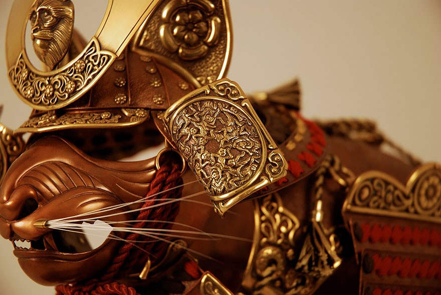 Funny And Beautiful Mouse Armor (14 pics)
