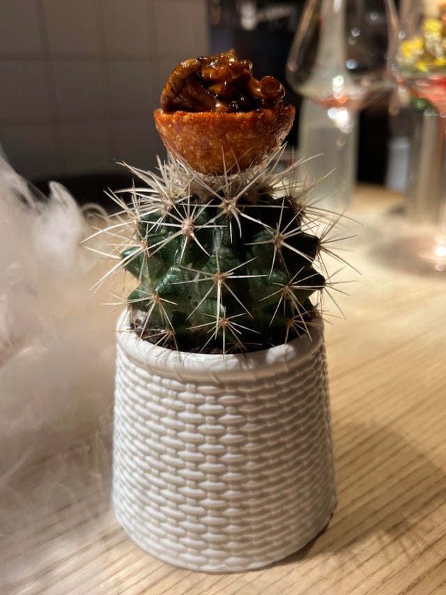 Weird Food Serving (22 pics)