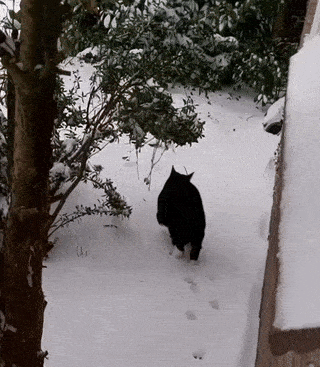 Acid GIFs, February 27 (25 gifs)