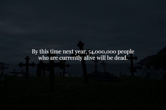 Creepy Facts (15 pics)