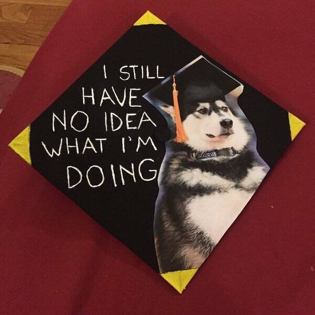Funny Graduation Caps (32 pics)