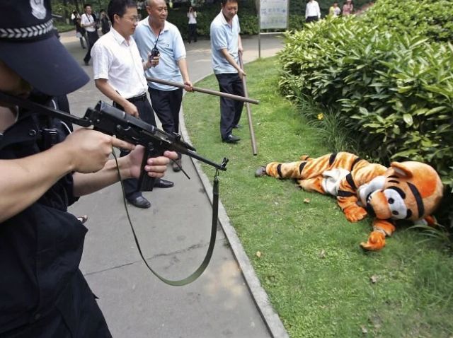 Strange Photos From Japan (15 pics)