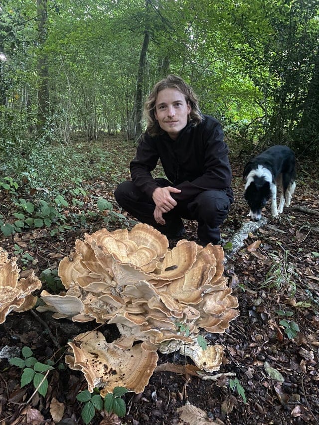 Impressive Finds Of Mushroom Pickers 18 Pics   1678262213 5 