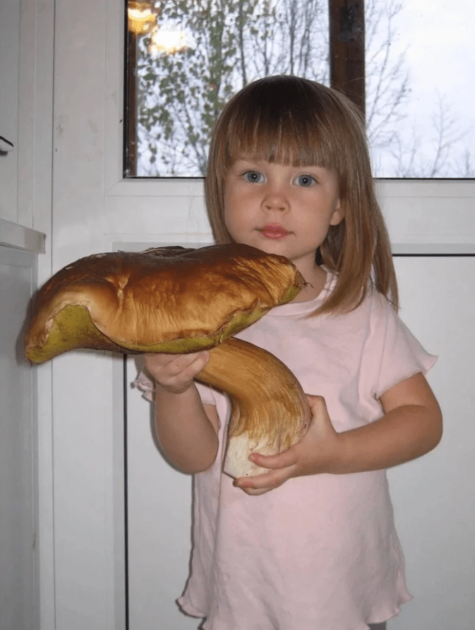 Impressive Finds Of Mushroom Pickers (18 pics)