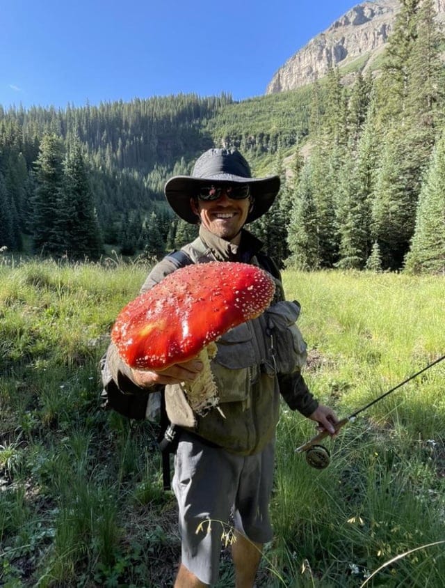 Impressive Finds Of Mushroom Pickers (18 pics)