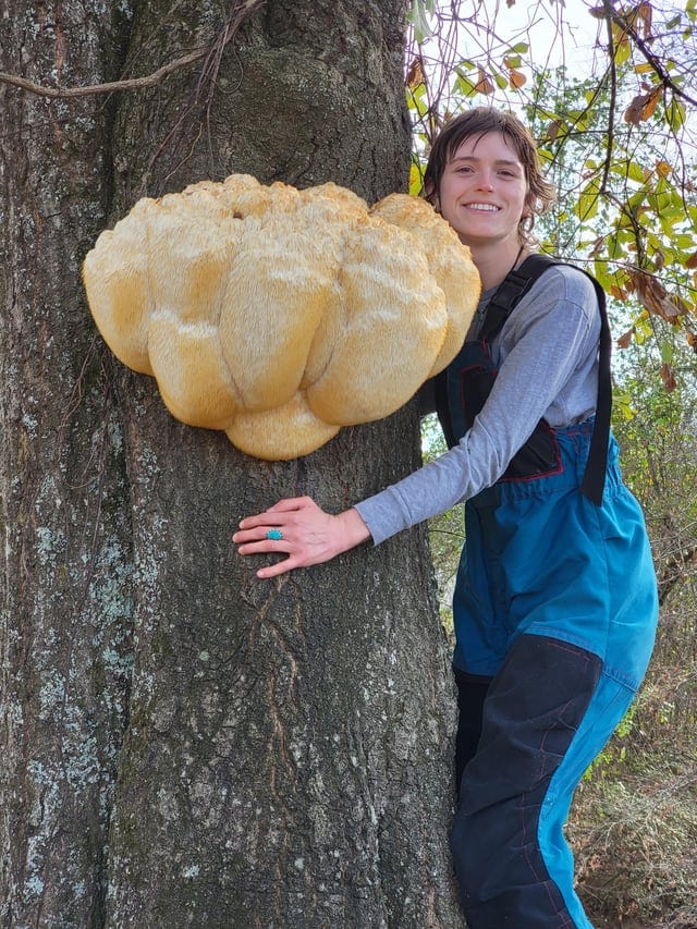 Impressive Finds Of Mushroom Pickers (18 pics)